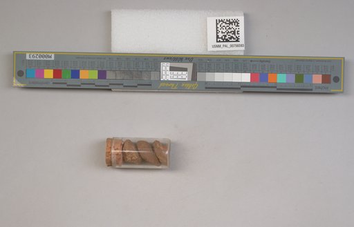 NSF ADBC EPICC TCN