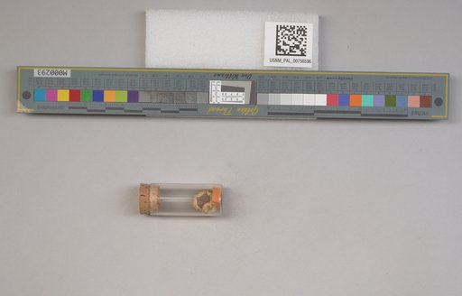NSF ADBC EPICC TCN