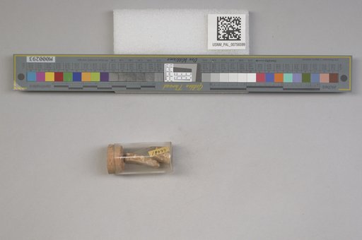 NSF ADBC EPICC TCN