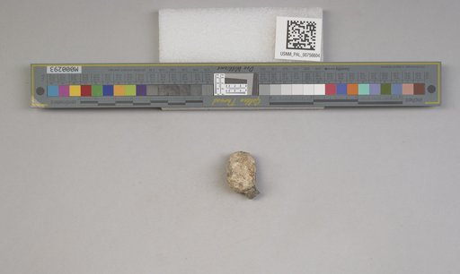 NSF ADBC EPICC TCN
