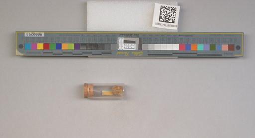 NSF ADBC EPICC TCN