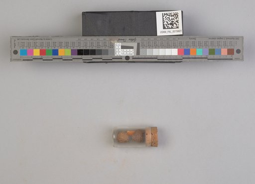 NSF ADBC EPICC TCN