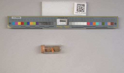 NSF ADBC EPICC TCN