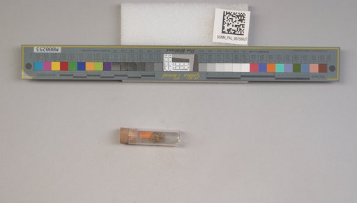 NSF ADBC EPICC TCN