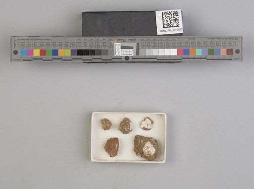 NSF ADBC EPICC TCN