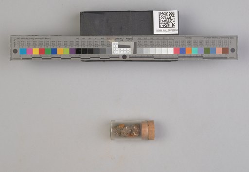 NSF ADBC EPICC TCN