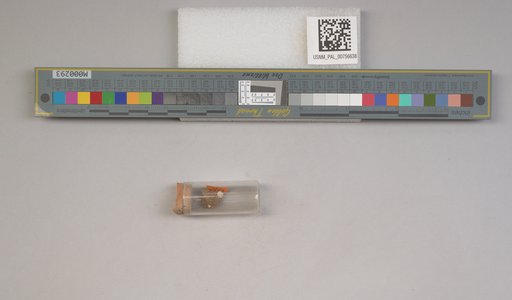 NSF ADBC EPICC TCN