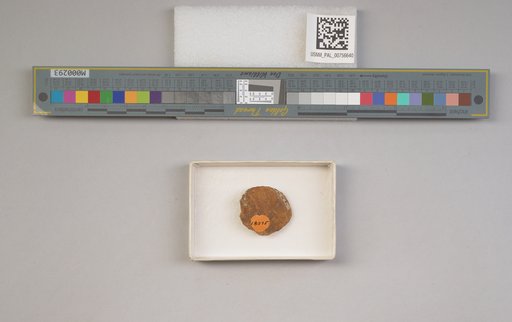 NSF ADBC EPICC TCN