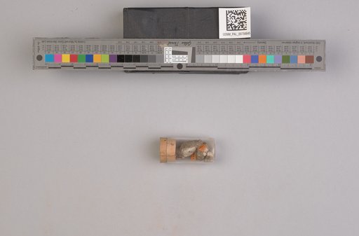 NSF ADBC EPICC TCN