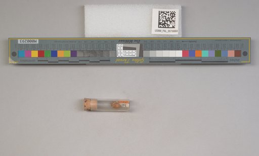 NSF ADBC EPICC TCN