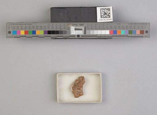 NSF ADBC EPICC TCN