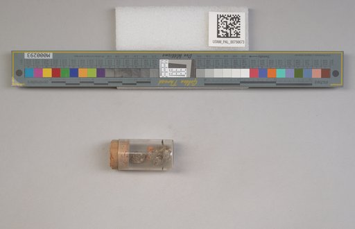 NSF ADBC EPICC TCN
