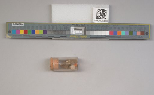 NSF ADBC EPICC TCN