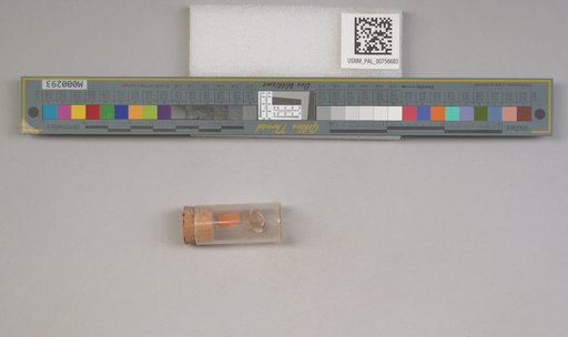 NSF ADBC EPICC TCN