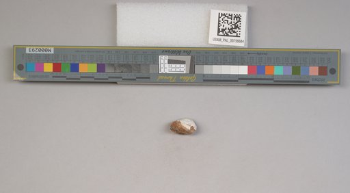 NSF ADBC EPICC TCN