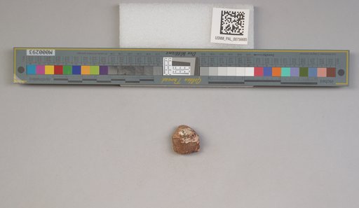 NSF ADBC EPICC TCN