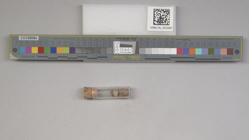 NSF ADBC EPICC TCN