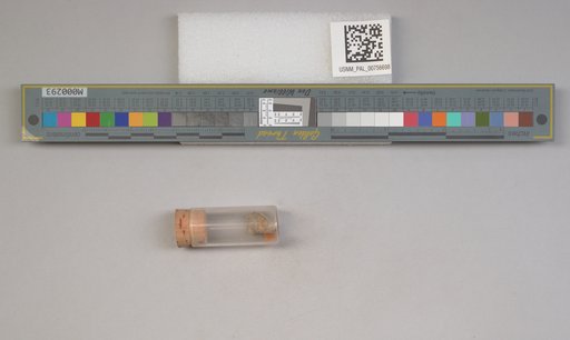 NSF ADBC EPICC TCN