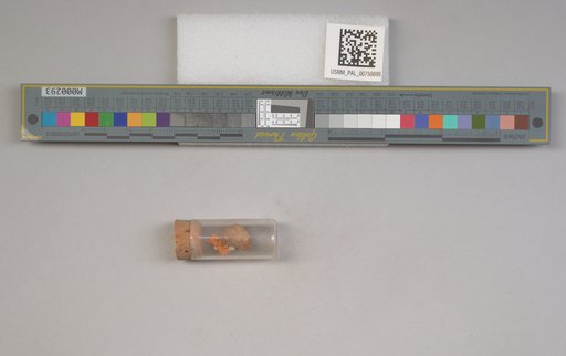 NSF ADBC EPICC TCN