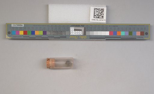 NSF ADBC EPICC TCN