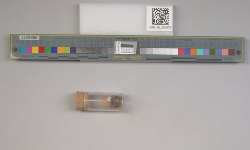 NSF ADBC EPICC TCN