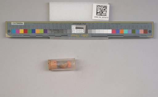 NSF ADBC EPICC TCN
