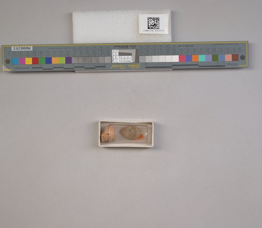 NSF ADBC EPICC TCN
