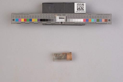 NSF ADBC EPICC TCN