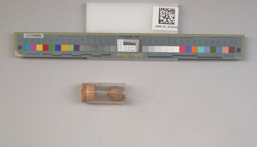 NSF ADBC EPICC TCN