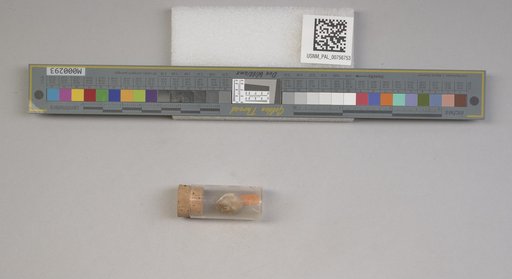 NSF ADBC EPICC TCN