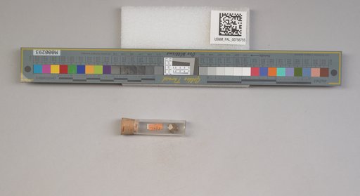 NSF ADBC EPICC TCN