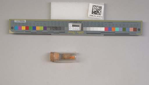 NSF ADBC EPICC TCN