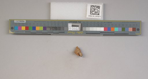 NSF ADBC EPICC TCN