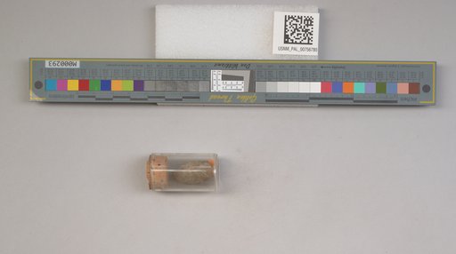 NSF ADBC EPICC TCN