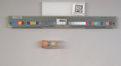 NSF ADBC EPICC TCN
