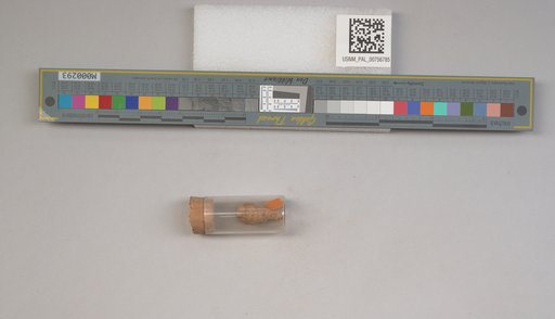 NSF ADBC EPICC TCN
