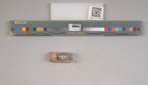 NSF ADBC EPICC TCN