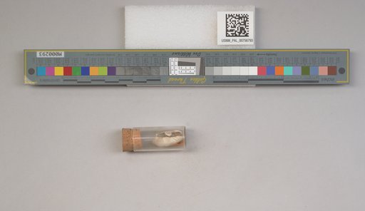 NSF ADBC EPICC TCN