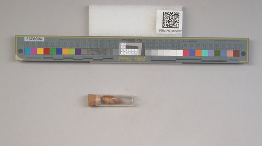 NSF ADBC EPICC TCN
