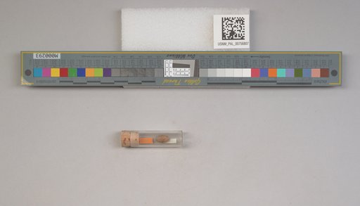 NSF ADBC EPICC TCN