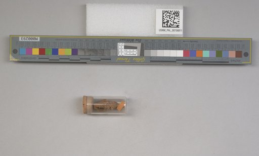 NSF ADBC EPICC TCN