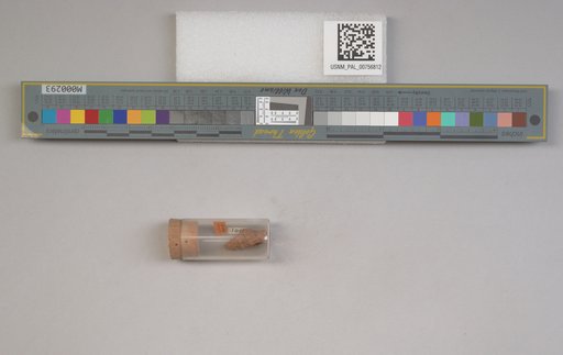 NSF ADBC EPICC TCN