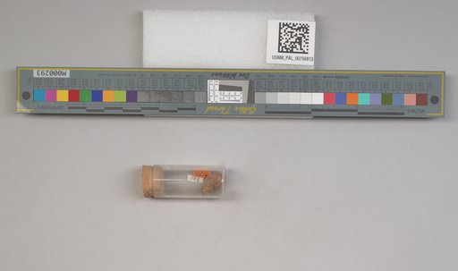 NSF ADBC EPICC TCN