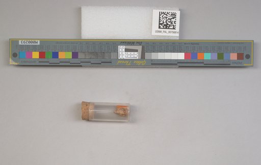 NSF ADBC EPICC TCN