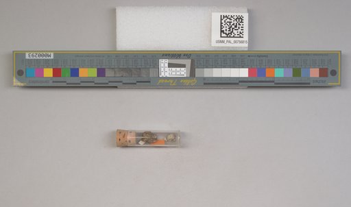 NSF ADBC EPICC TCN