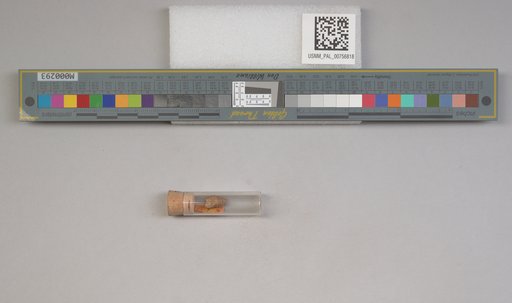 NSF ADBC EPICC TCN