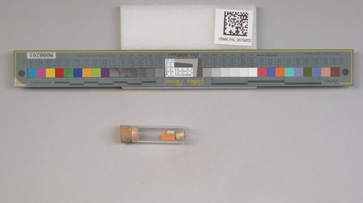NSF ADBC EPICC TCN