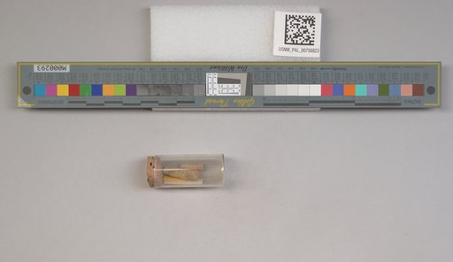 NSF ADBC EPICC TCN