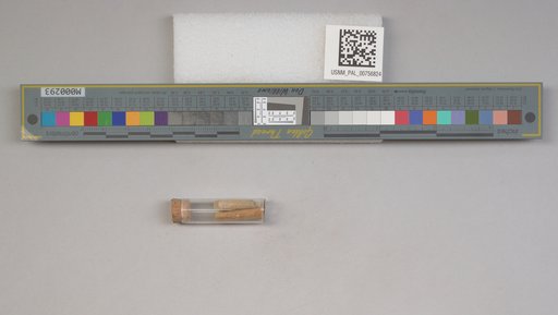 NSF ADBC EPICC TCN