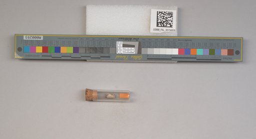 NSF ADBC EPICC TCN